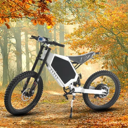 New style Super bomber 3000w power electric city bike 48V 20AH Lithium battery 20 inch tires enduro ebike for adults
