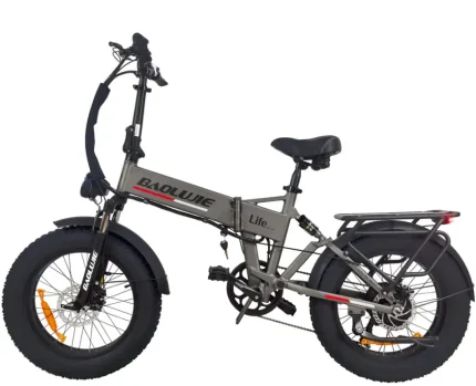 New Hot Selling BLJ-DZ2005 750W 48V 12AH Speed 35KM/H Electric City Mountain Bike 20-inch Folding Electric Bike All Terrain